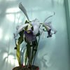 Laelia purpurata var. werkhäuseri x Cattleya warneri var. coerulea